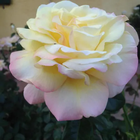 Neureiter Διαμέρισμα Golling an der Salzach