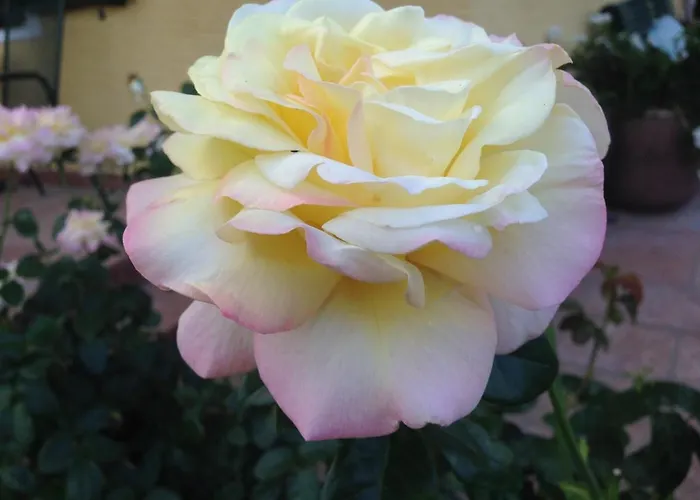 Neureiter 아파트 골링안데살자흐